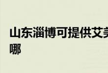 山東淄博可提供艾美特電風扇維修服務地址在哪