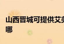 山西晉城可提供艾美特電風扇維修服務地址在哪