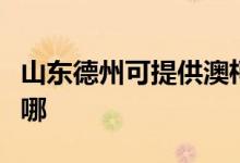 山東德州可提供澳柯瑪電風扇維修服務地址在哪