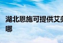湖北恩施可提供艾美特電風扇維修服務地址在哪