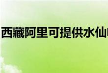 西藏阿里可提供水仙電風扇維修服務地址在哪