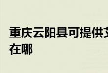 重慶云陽縣可提供艾美特電暖器維修服務地址在哪