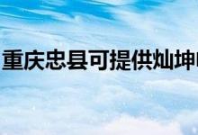 重慶忠縣可提供燦坤電風扇維修服務地址在哪