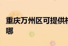 重慶萬州區(qū)可提供格力電暖器維修服務(wù)地址在哪