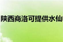 陜西商洛可提供水仙電風扇維修服務地址在哪