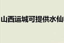 山西運城可提供水仙電風扇維修服務地址在哪