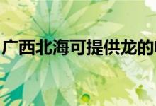 廣西北?？商峁埖碾婏L扇維修服務地址在哪