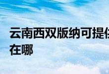 云南西雙版納可提供賽億電暖器維修服務地址在哪