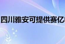 四川雅安可提供賽億電暖器維修服務地址在哪