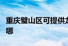 重慶璧山區(qū)可提供龍的電暖器維修服務地址在哪