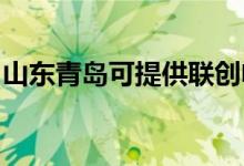 山東青島可提供聯(lián)創(chuàng)電暖器維修服務地址在哪