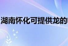 湖南懷化可提供龍的電暖器維修服務地址在哪