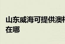 山東威?？商峁┌目卢旓嬎O(shè)備維修服務(wù)地址在哪