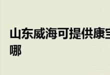 山東威?？商峁┛祵氾嬎O(shè)備維修服務(wù)地址在哪