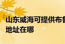 山東威?？商峁┎剪斞艩柨諝鈨艋骶S修服務(wù)地址在哪