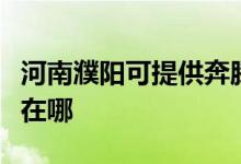 河南濮陽可提供奔騰空氣凈化器維修服務地址在哪