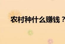 農村種什么賺錢？（6個種植賺錢項目）