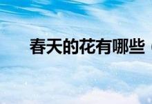 春天的花有哪些（春天開(kāi)的常見(jiàn)的花）