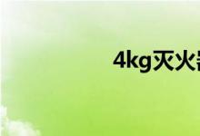4kg滅火器多少錢(qián)一個(gè)
