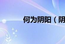 何為陰陽(yáng)（陰陽(yáng)到底為何物？）