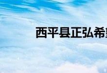 西平縣正弘希望小學的地址在哪
