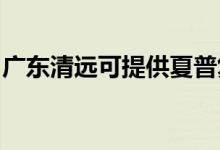廣東清遠(yuǎn)可提供夏普復(fù)印機維修服務(wù)地址在哪