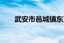 武安市邑城鎮(zhèn)東萬善小學的地址在哪
