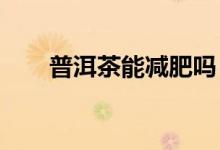 普洱茶能減肥嗎？生茶和熟茶哪個好