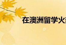 在澳洲留學(xué)火熱的專(zhuān)業(yè)都有哪些