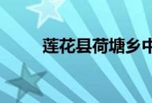 蓮花縣荷塘鄉(xiāng)中心小學的地址在哪