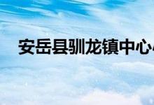 安岳縣馴龍鎮(zhèn)中心小學幼兒園的地址在哪