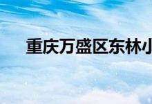 重慶萬盛區(qū)東林小學(xué)幼兒園的地址在哪
