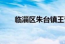 臨淄區(qū)朱臺(tái)鎮(zhèn)王營幼兒園的地址在哪