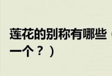 蓮花的別稱有哪些（荷花的十大別稱你喜歡哪一個？）