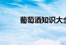 葡萄酒知識(shí)大全（葡萄酒的簡(jiǎn)介）