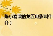 陳小春演的龍五電影叫什么名字（陳小春演的龍五電影的簡(jiǎn)介）