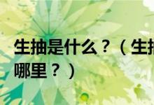 生抽是什么？（生抽、老抽、醬油……區(qū)別在哪里？）