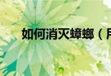 如何消滅蟑螂（用這四個(gè)方法來(lái)消滅）