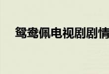 鴛鴦佩電視劇劇情（鴛鴦佩電視劇簡介）