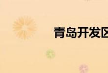 青島開(kāi)發(fā)區(qū)搬家公司推薦