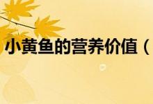 小黃魚的營養(yǎng)價值（小黃魚的營養(yǎng)價值簡述）