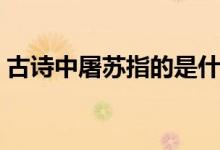 古詩(shī)中屠蘇指的是什么（古詩(shī)中屠蘇的意思）