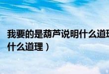 我要的是葫蘆說(shuō)明什么道理1018無(wú)標(biāo)題（我要的是葫蘆說(shuō)明什么道理）