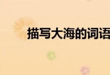 描寫大海的詞語（寫大海的詞盤點）