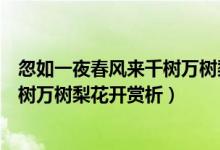 忽如一夜春風(fēng)來(lái)千樹萬(wàn)樹梨花開(kāi)啥意思（忽如一夜春風(fēng)來(lái)千樹萬(wàn)樹梨花開(kāi)賞析）