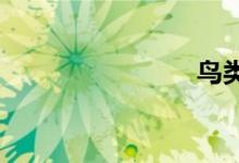 鳥(niǎo)類(lèi)有哪些