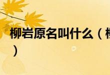柳巖原名叫什么（柳巖什么時候進入演藝圈的）