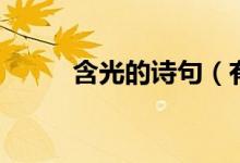含光的詩(shī)句（有什么含光的詩(shī)句）
