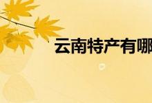 云南特產有哪些（分別有什么）