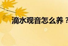 滴水觀音怎么養(yǎng)？用什么土養(yǎng)滴水觀音